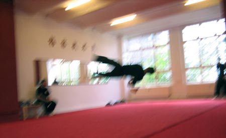 3.4 Butterfly Twist