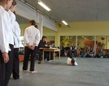 6.9 Fallschule