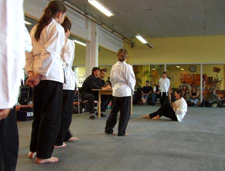 7.0 Fallschule
