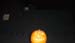 0.0.1 Halloweeen Tauchen... Gruselspaß unter Wasser
