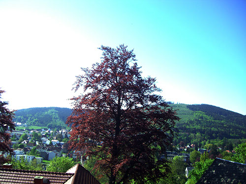 0.0.18 Hat doch was, Landschaft kommt auf den Bildern nicht wirklich rüber